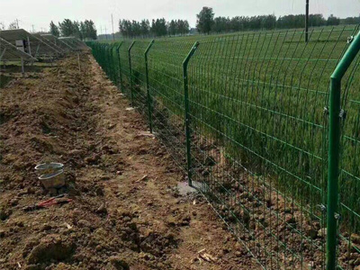 雙邊絲護(hù)欄網(wǎng) 雙邊絲護(hù)欄網(wǎng)