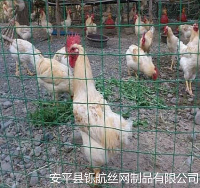 timg_meitu_1.jpg timg_meitu_1.jpg